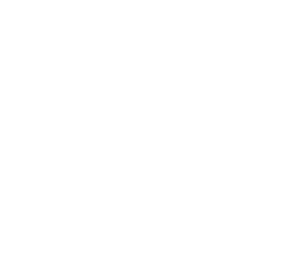 Fairwind-Creative---stacked---inverse---transparent--matte-272C3D(1)